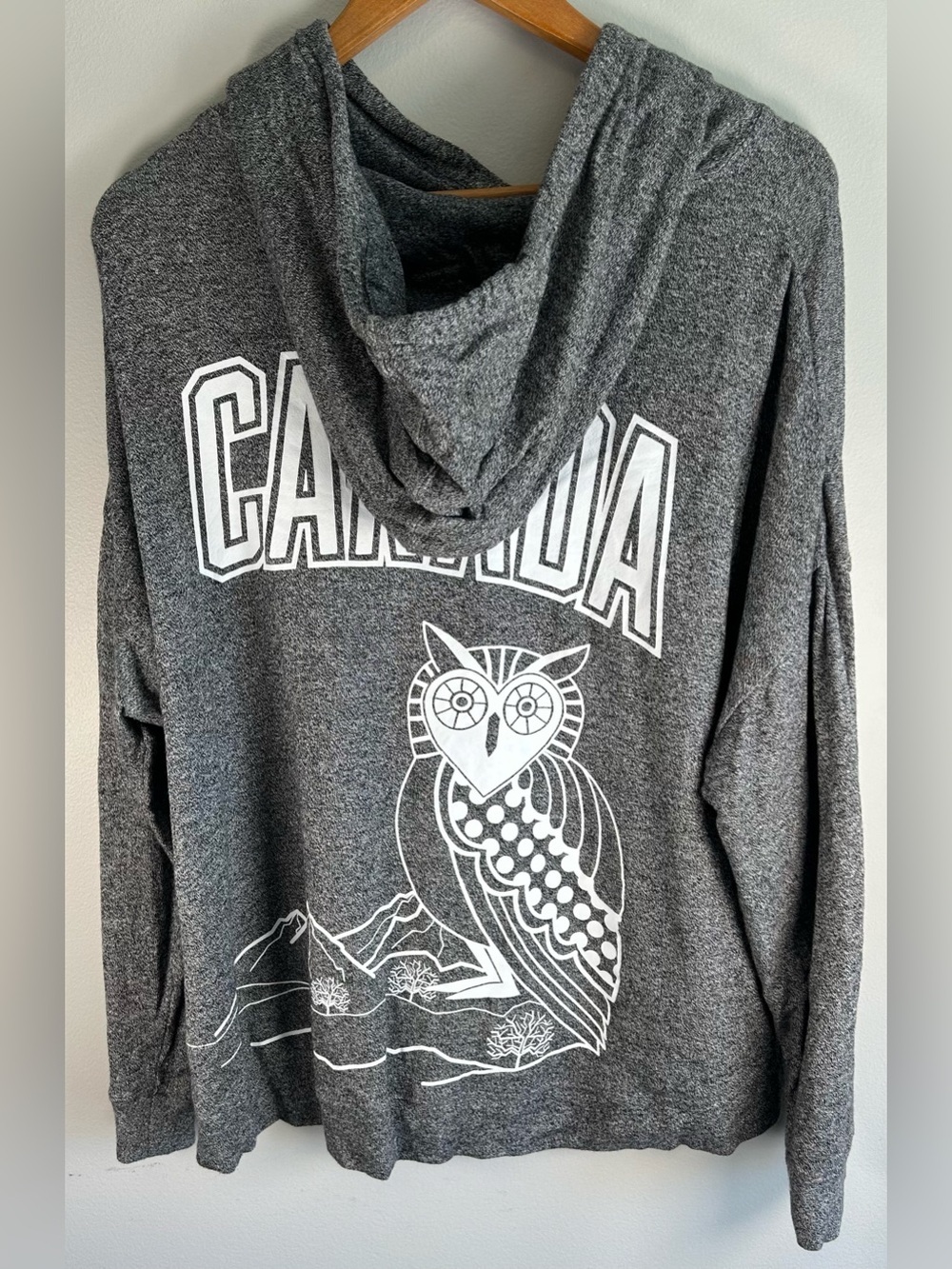 Hudson’s Bay Company Team Canada Sweater Hoodie Size L RARE Owl Graphic